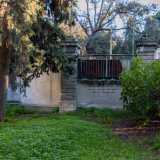 Oltre le fronde scorgiamo anche il vecchio ingresso murato della propriet�, che d� su via Celso Ulpiani